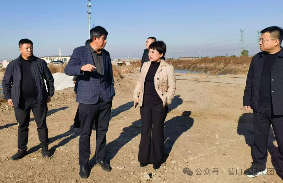 1764058811679404.jpg 01.jpg